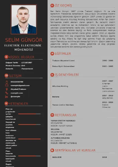 Mühendis Örnek cv indir